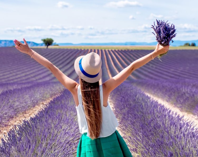 Shared Lavender Tour Half Day Trip from Aix en Provence Afternoon